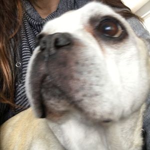 Meet your Posher, Christina